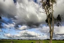 虎扑手机网：郑钦文商业价值再获肯定 蚂蚁集团官宣完成续约.