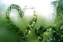 周继红卸任，这三个人最有可能接替她的位置！.