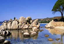 国足公布世预赛18强赛大名单 塞尔吉尼奥领衔入选.